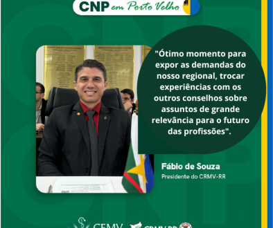 Representante do CRMV/RR marca presença na 3ª Câmara Nacional de Presidentes (CNP)