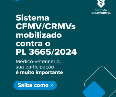 CFMV se posiciona contra PL que ameaça a atuação dos médicos-veterinários