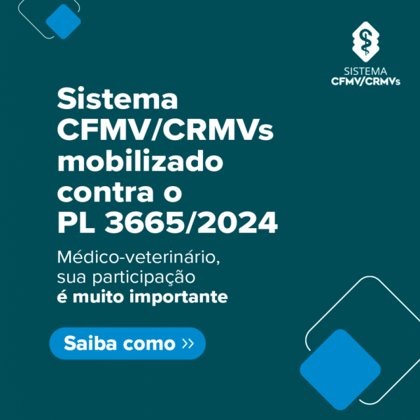 CFMV se posiciona contra PL que ameaça a atuação dos médicos-veterinários