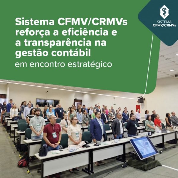 Sistema CFMV/CRMVs reforça a eficiência e a transparência na gestão contábil em encontro estratégico