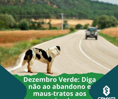 Dezembro Verde Diga não ao abandono e maus-tratos aos animais