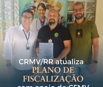 CRMVRR atualiza Plano de Fiscalização com apoio do CFMV